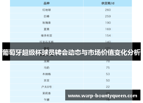 葡萄牙超级杯球员转会动态与市场价值变化分析