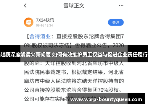 赵鹏深度解读欠薪问题 如何有效维护员工权益与促进企业责任履行